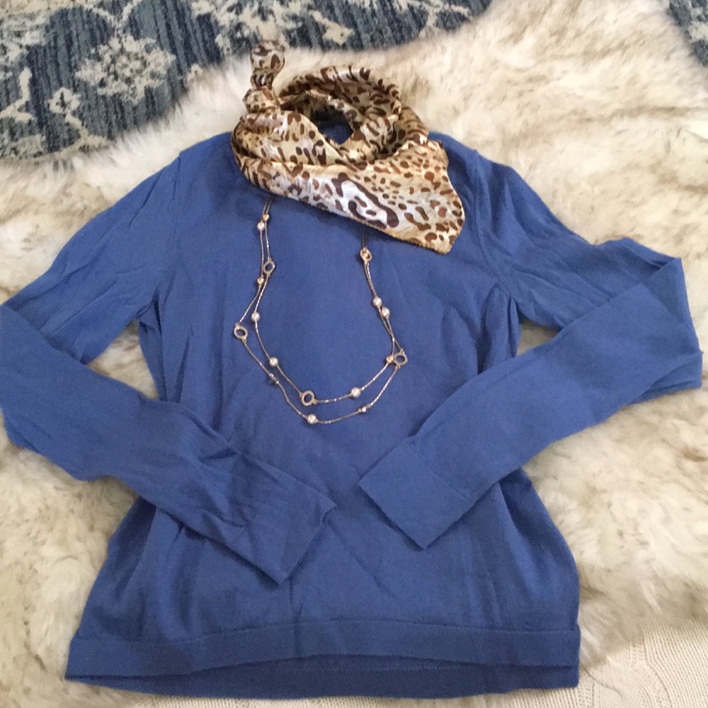 Ann Taylor 100% Superfine Wool Long Sleeve Sweater